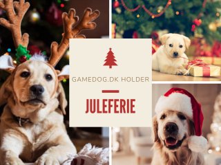GAMEDOG.DK HOLDER JULEFERIE