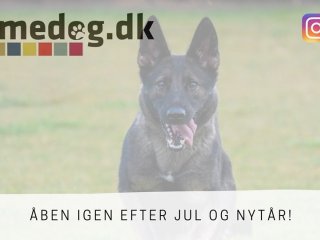 GAMEDOG.DK BEN IGEN EFTER JUL OG NYTR