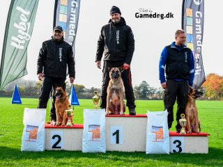 GAMEDOG.DK SOM SPONSOR TIL SBH IGP DM 2019