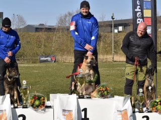 GAMEDOG DKK IGP3 DM - KREDS 63 HOBRO