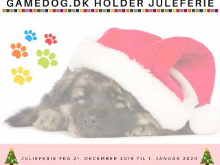 GAMEDOG.DK HOLDER JULIEFERIE