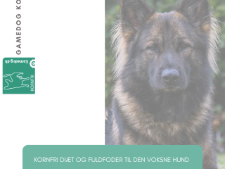 NY VARIANT - GAMEDOG KORNFRI