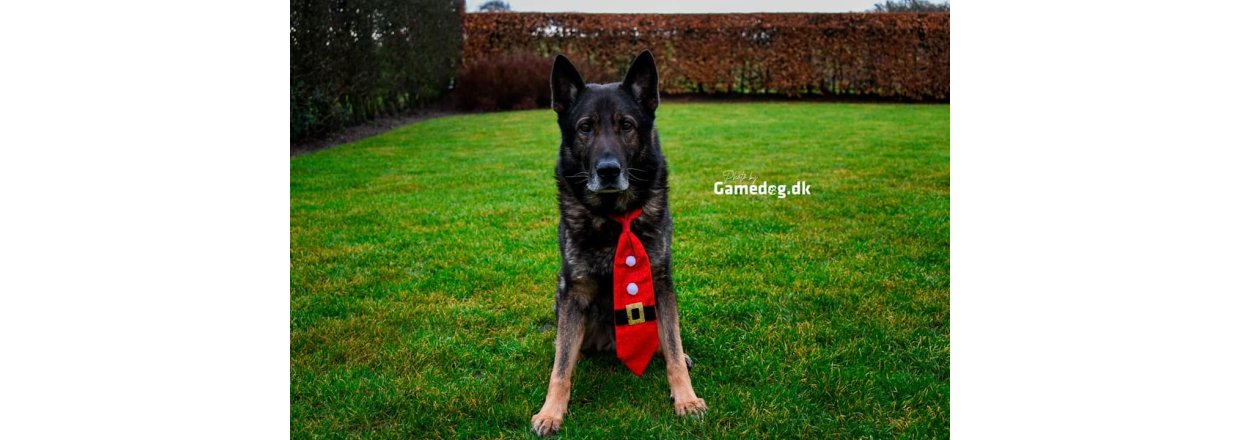 GAMEDOG HOLDER JULEFERIE 