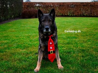 GAMEDOG HOLDER JULEFERIE 